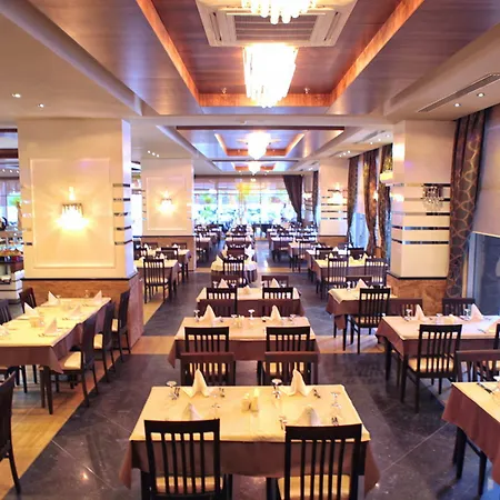 酒店 Dizalya Palm Garden