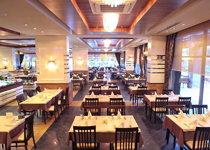 酒店 Dizalya Palm Garden