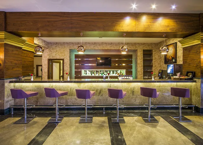 Dizalya Palm Garden 酒店 阿拉尼亚